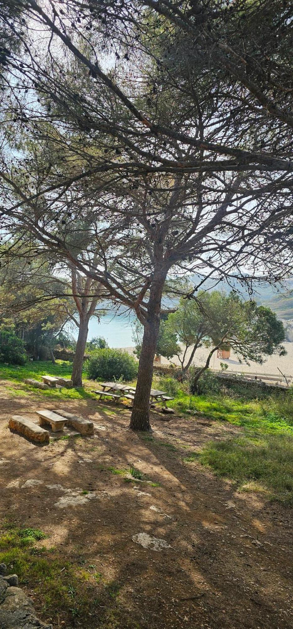 Casa Domingos Appartement Calas de Mallorca
